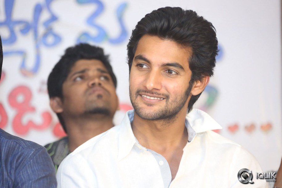 Pyaar-Mein-Padipoyane-Movie-Success-Meet